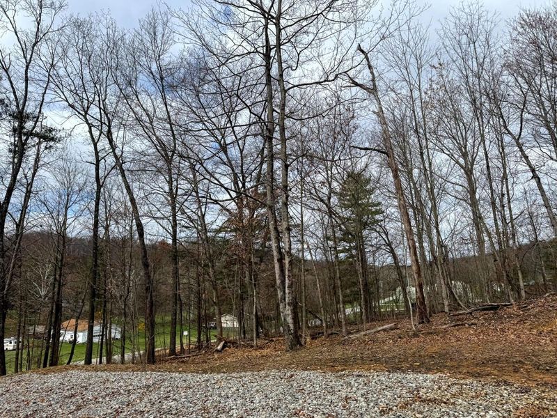 5305 Clines Chapel Road , Unit (Tract 15 , Waverly, OH 45690 Photo 18