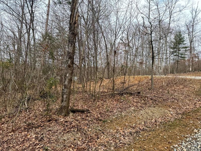 5305 Clines Chapel Road , Unit (Tract 15 , Waverly, OH 45690 Photo 27