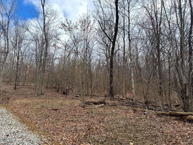 5305 Clines Chapel Road , Unit (Tract 15 , Waverly, OH 45690 Photo 30