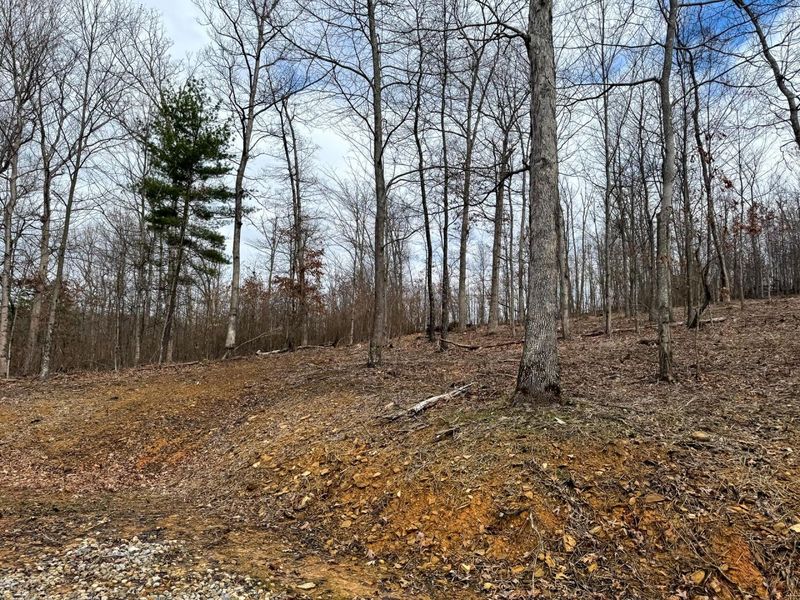 5305 Clines Chapel Road , Unit (Tract 15 , Waverly, OH 45690 Photo 31