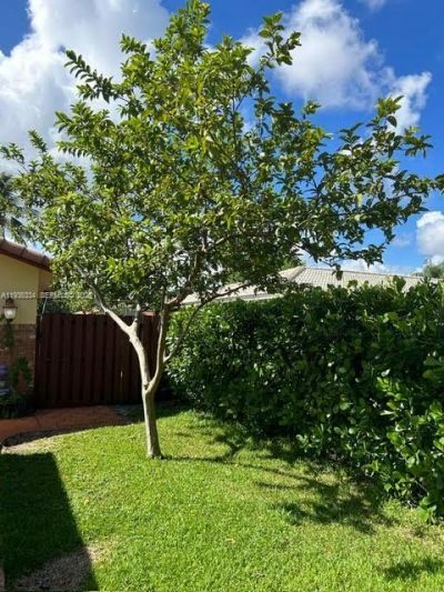 9248 Shadow Wood Blvd, Unit 9248, Coral Springs, FL 33071 Photo