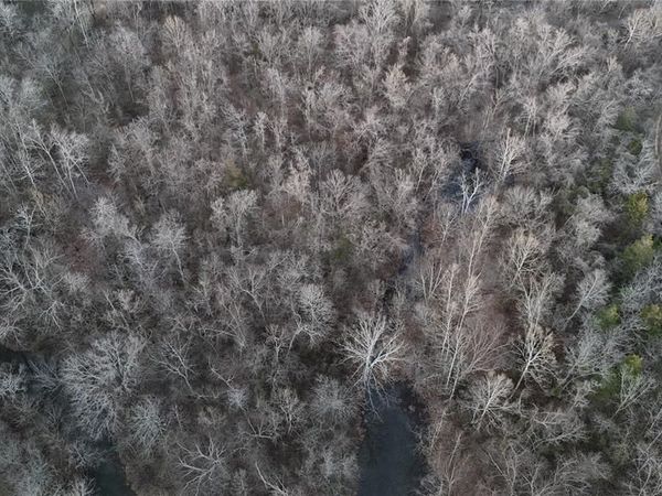 0 River Lot 1, Mill Spring, MO 63925