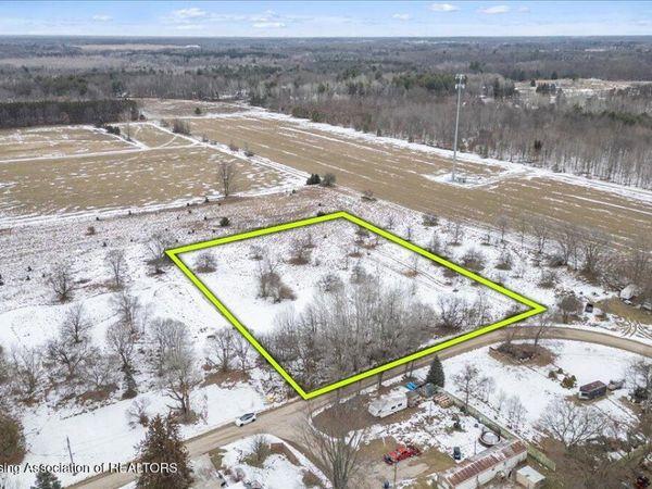V/l Pine Street, Elm Hall, MI 48830
