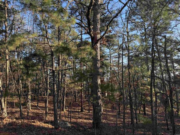 3 Vecilla Lane, Hot Springs Village, AR 71909