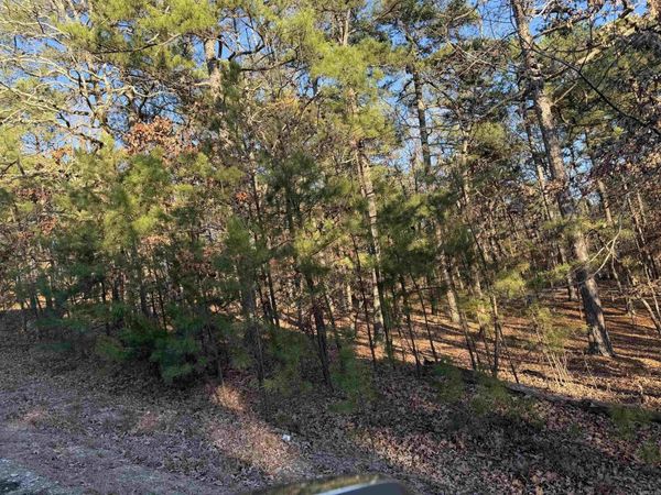 5 Vecilla Lane, Hot Springs Village, AR 71909