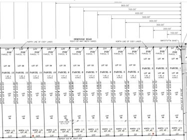 203 SEMINOLE BEACH DRIVE, BABSON PARK, FL 33827