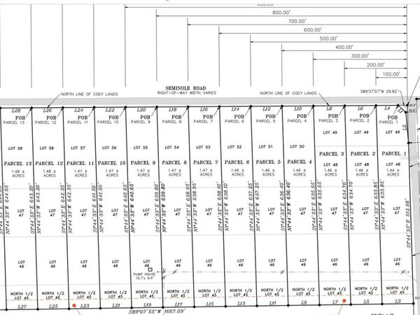 203 SEMINOLE BEACH DRIVE, BABSON PARK, FL 33827