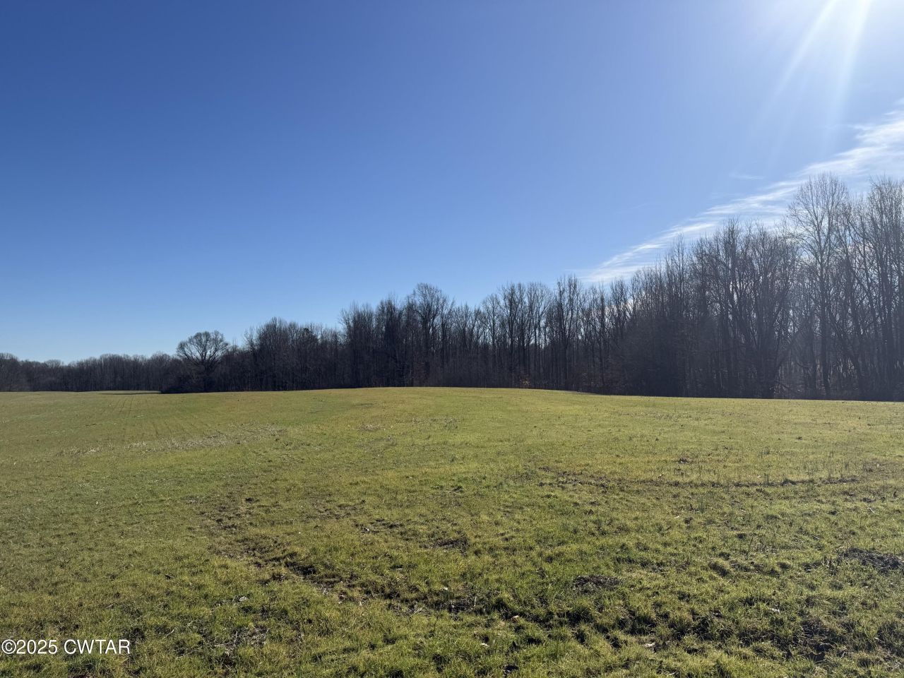 00 Arp Central Road, Ripley, TN 38063 Main Photo