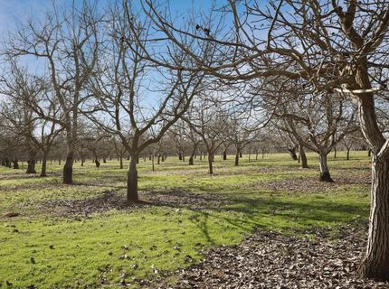 10710 N Shelton Rd, Linden, CA 95236 Photo