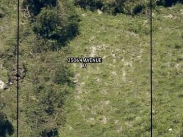 23064 Avenue D , ALVA, FL 33920