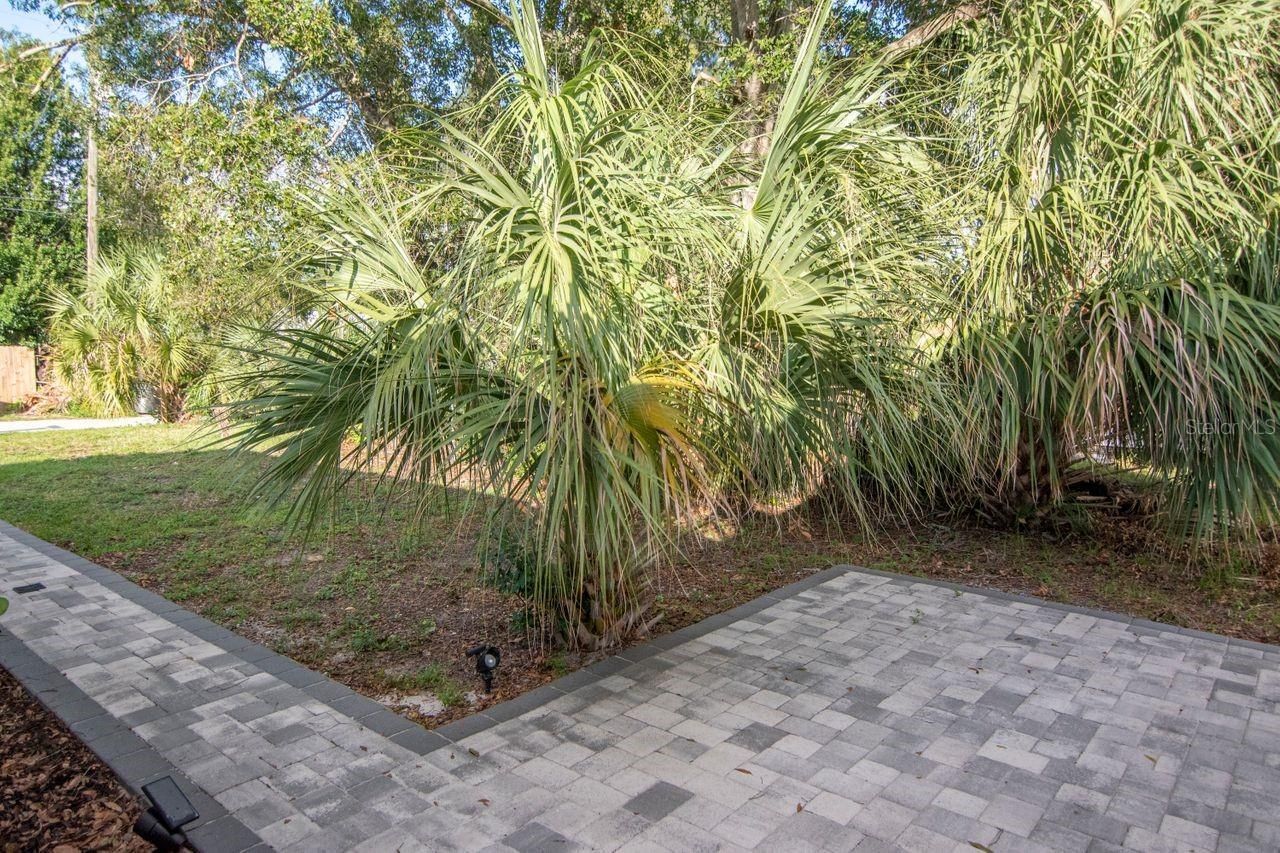 4325 5th Avenue S, Saint Petersburg, FL 33711 Photo