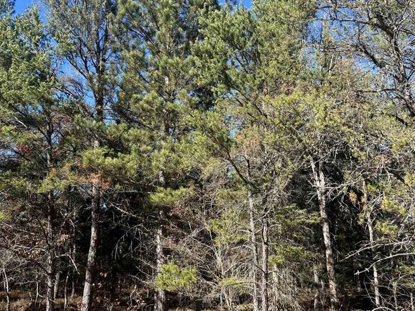 North Down River Road E, Grayling, MI 49738