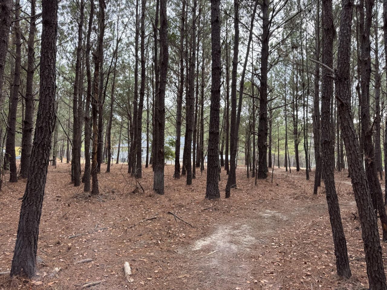 6797 M W Rickenbaker Road Photo 45