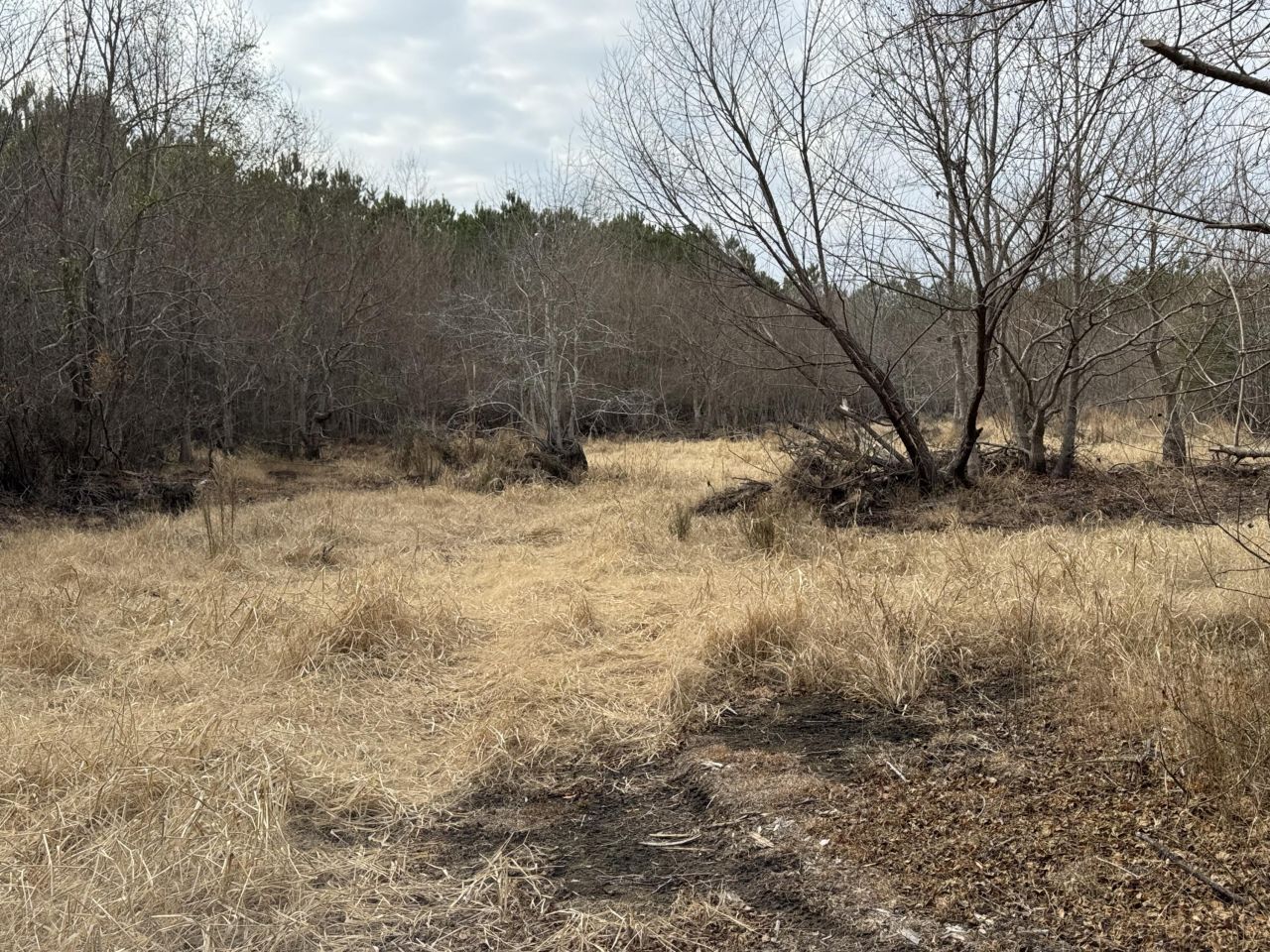 6797 M W Rickenbaker Road Photo 46