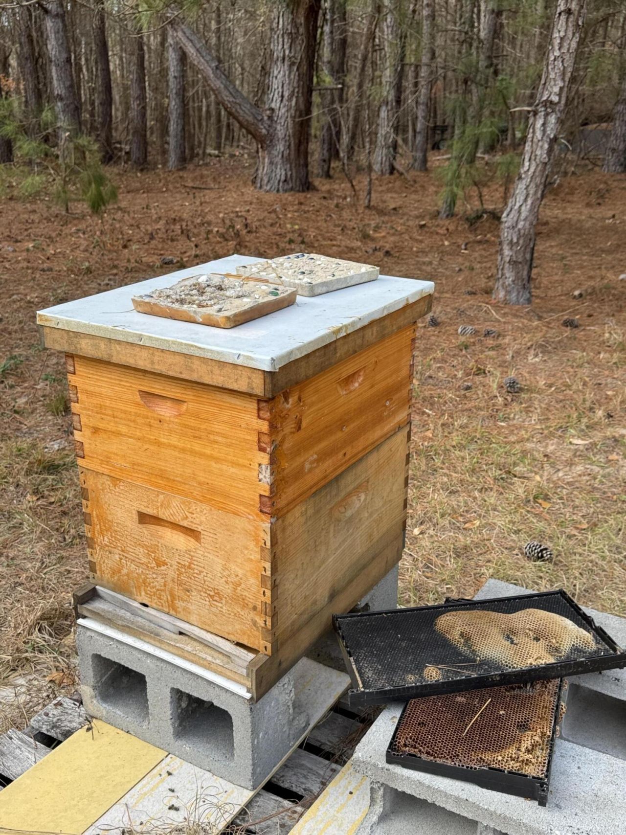 6797 M W Rickenbaker Road Photo 47