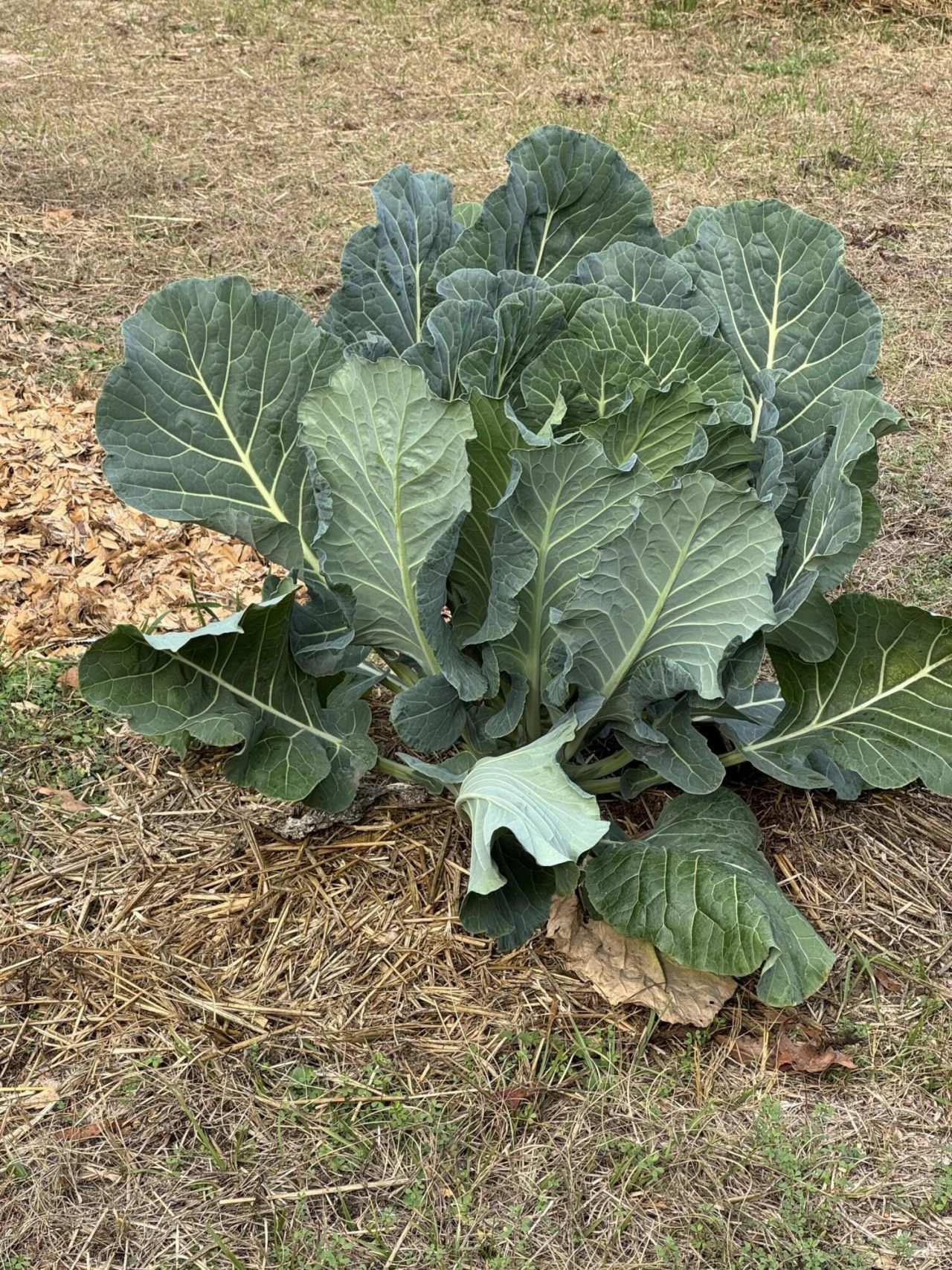 6797 M W Rickenbaker Road Photo 48