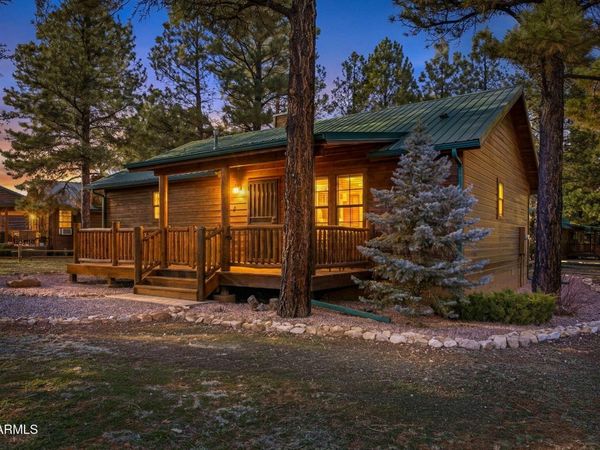 2677 PALOMINO Trail, Overgaard, AZ 85933