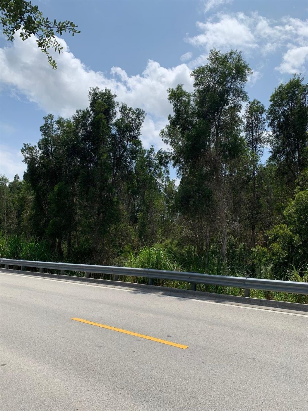 4400 SW 170th Avenue, Miami, FL 33185 Photo