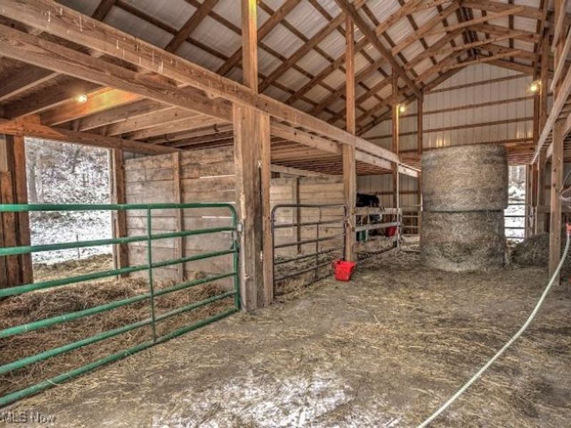 3303 Township Road 629, Loudonville, OH 44842 Photo 30