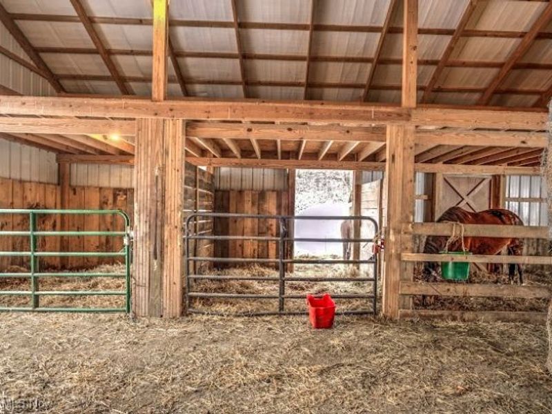 3303 Township Road 629, Loudonville, OH 44842 Photo 31