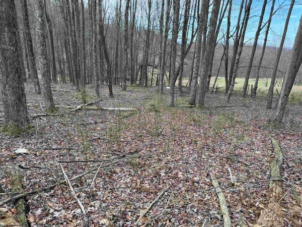 TBD Mt. Hebron Road, Volga, WV 26238