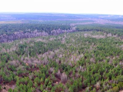 1163 Juneberry Rd, Camden, SC 29020