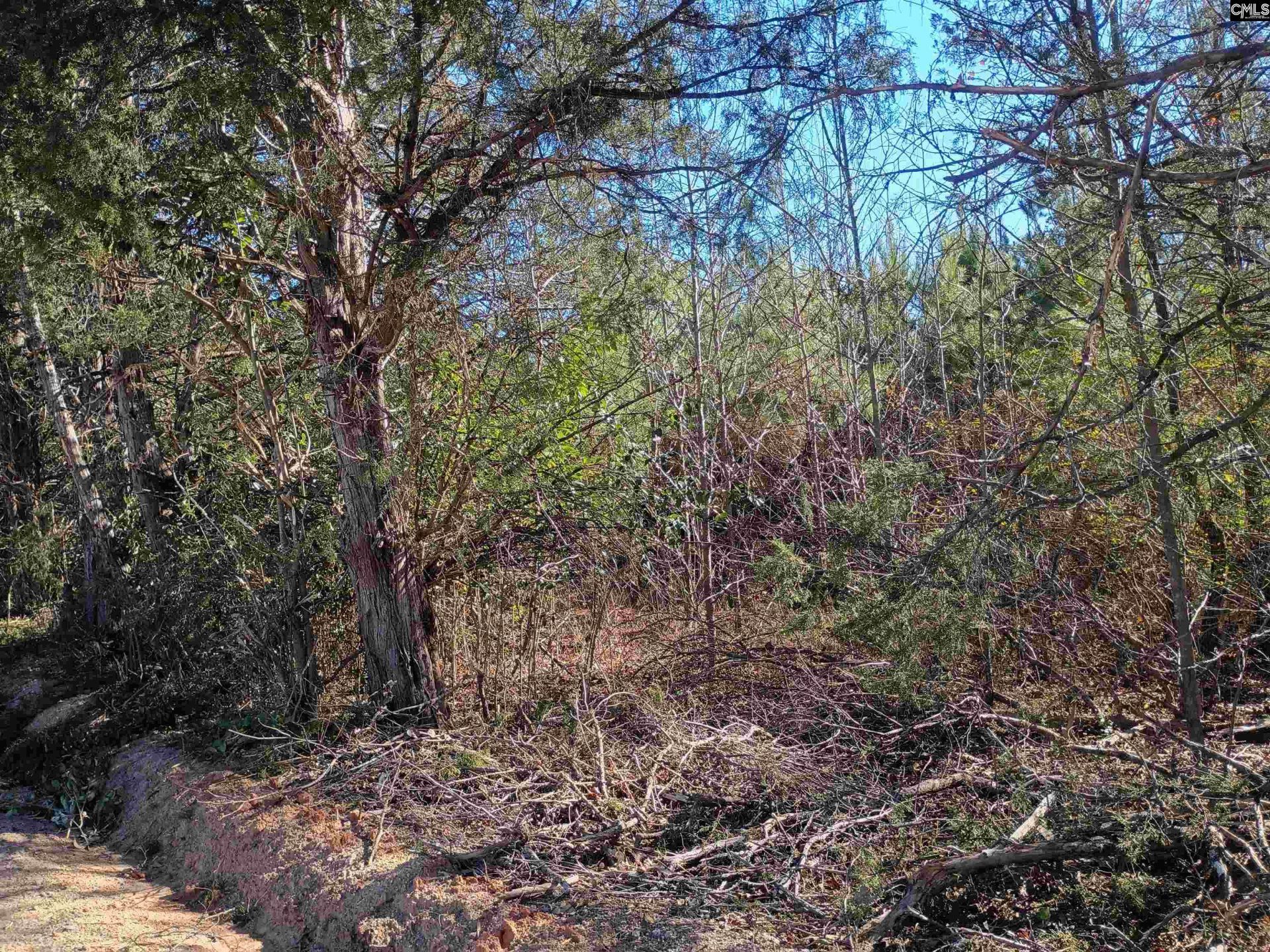 1163 Juneberry Road Photo 10