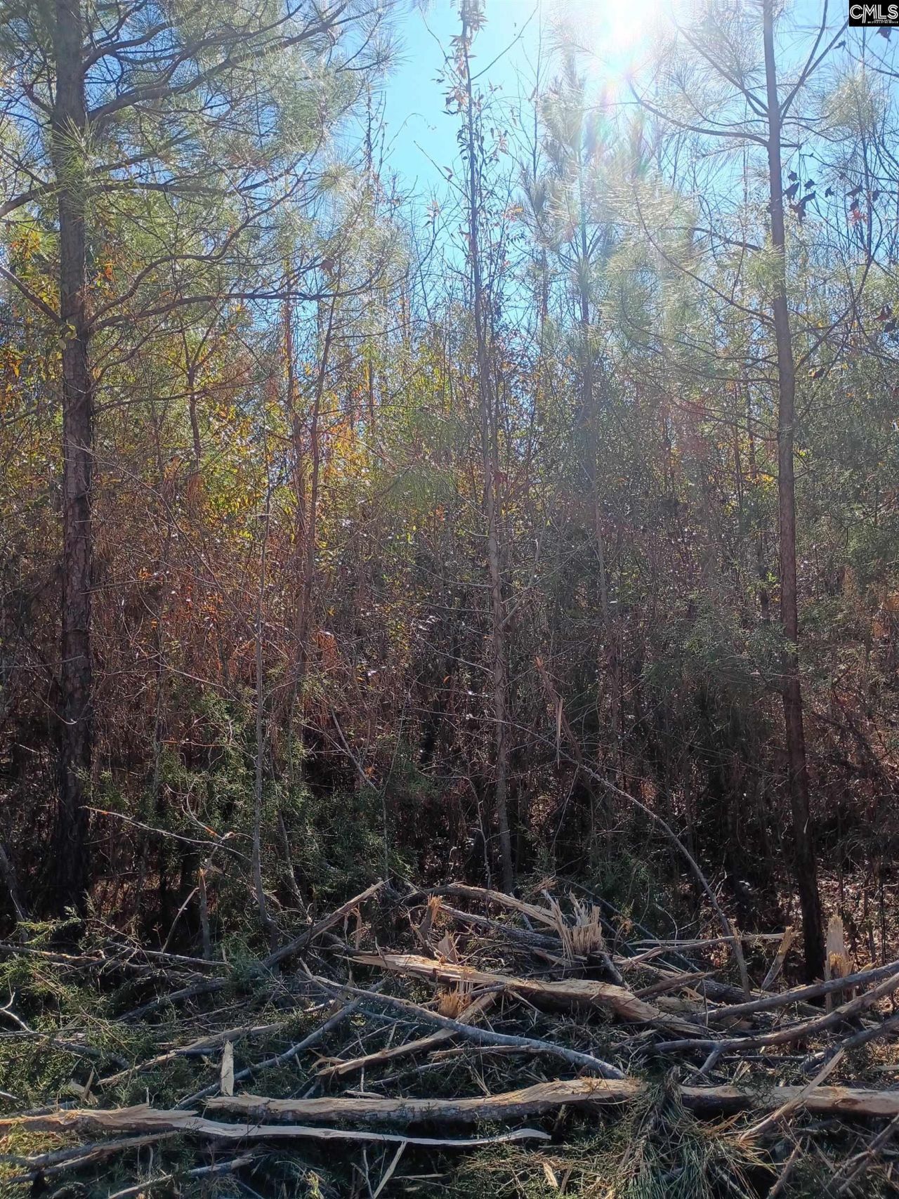 1163 Juneberry Rd Photo 11