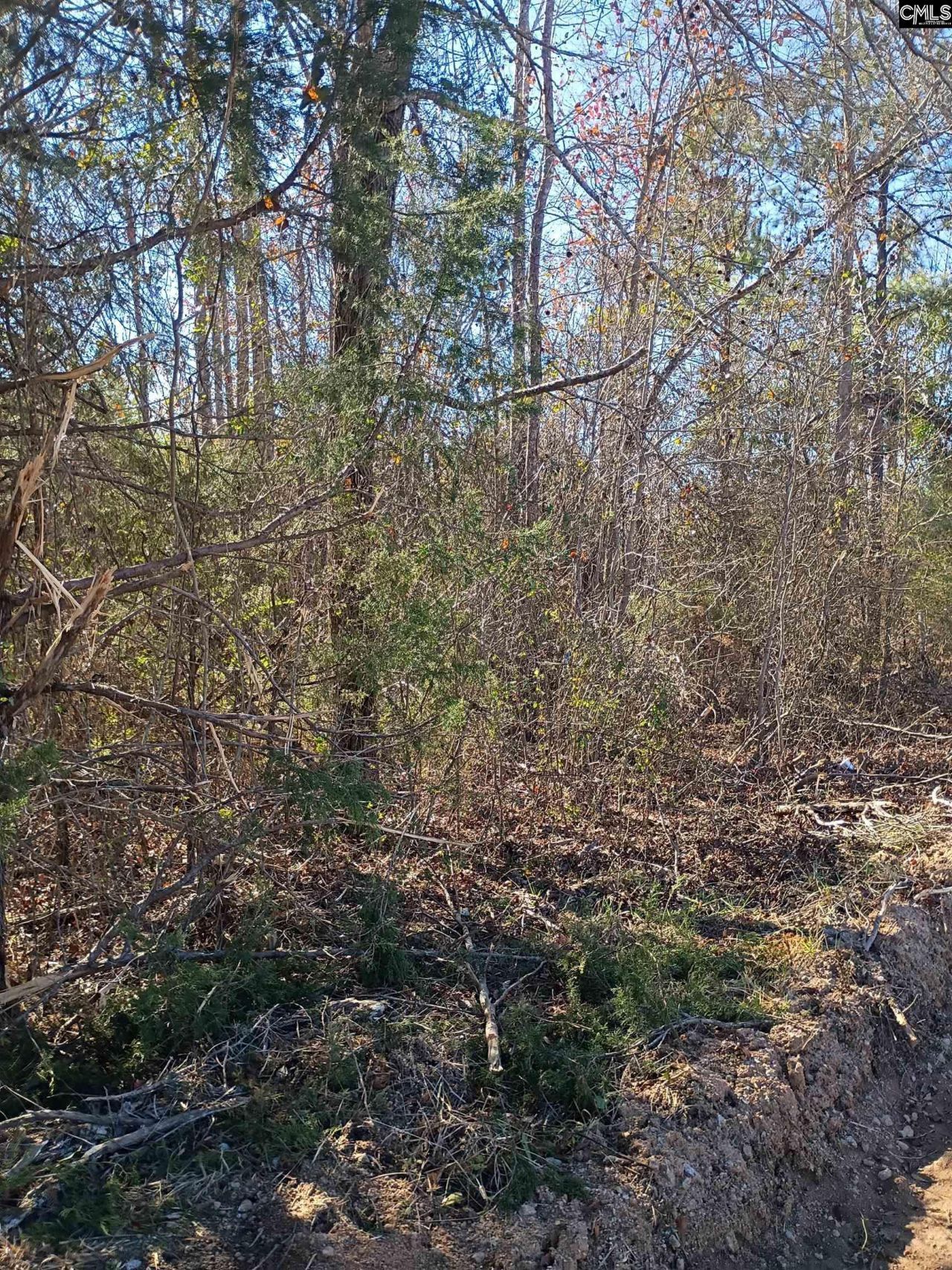 1163 Juneberry Road Photo 12