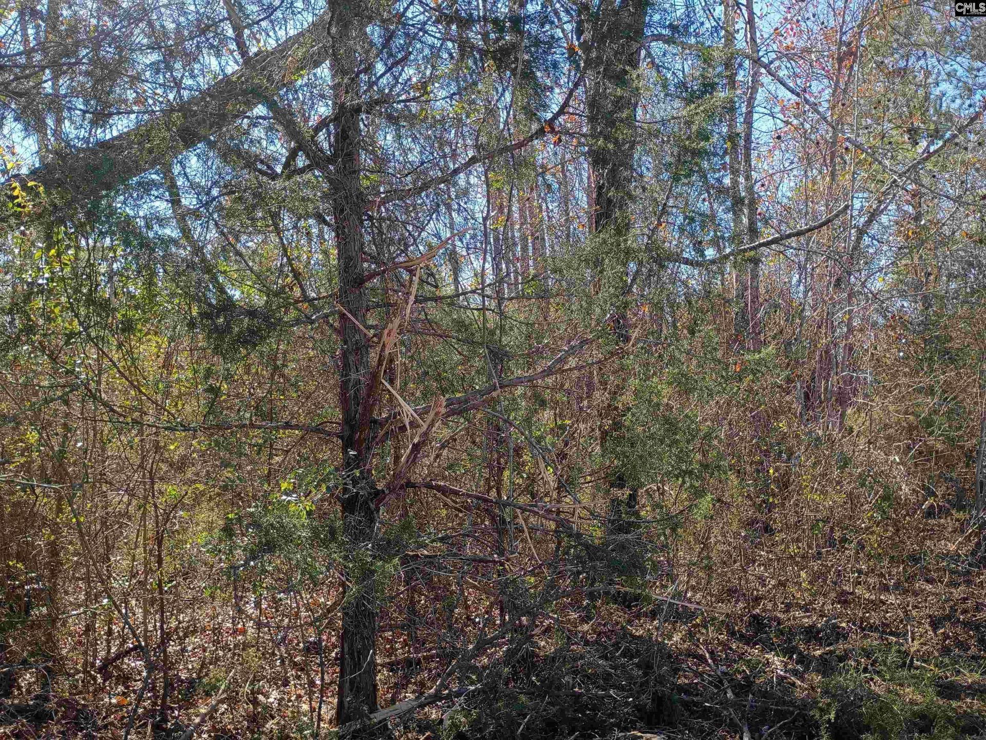 1163 Juneberry Road Photo 13