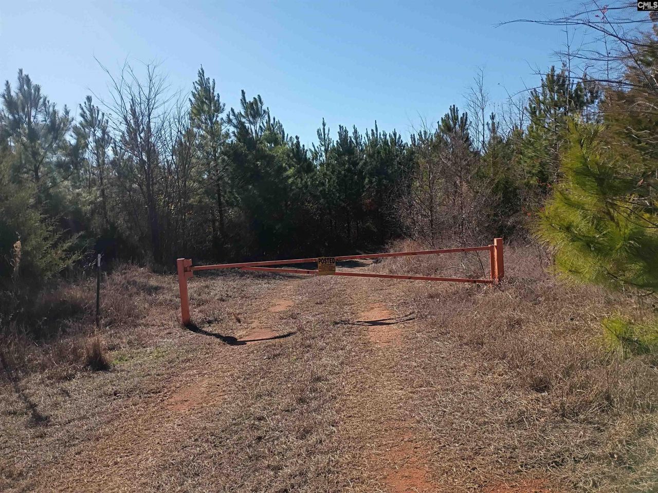 1163 Juneberry Rd Photo 16