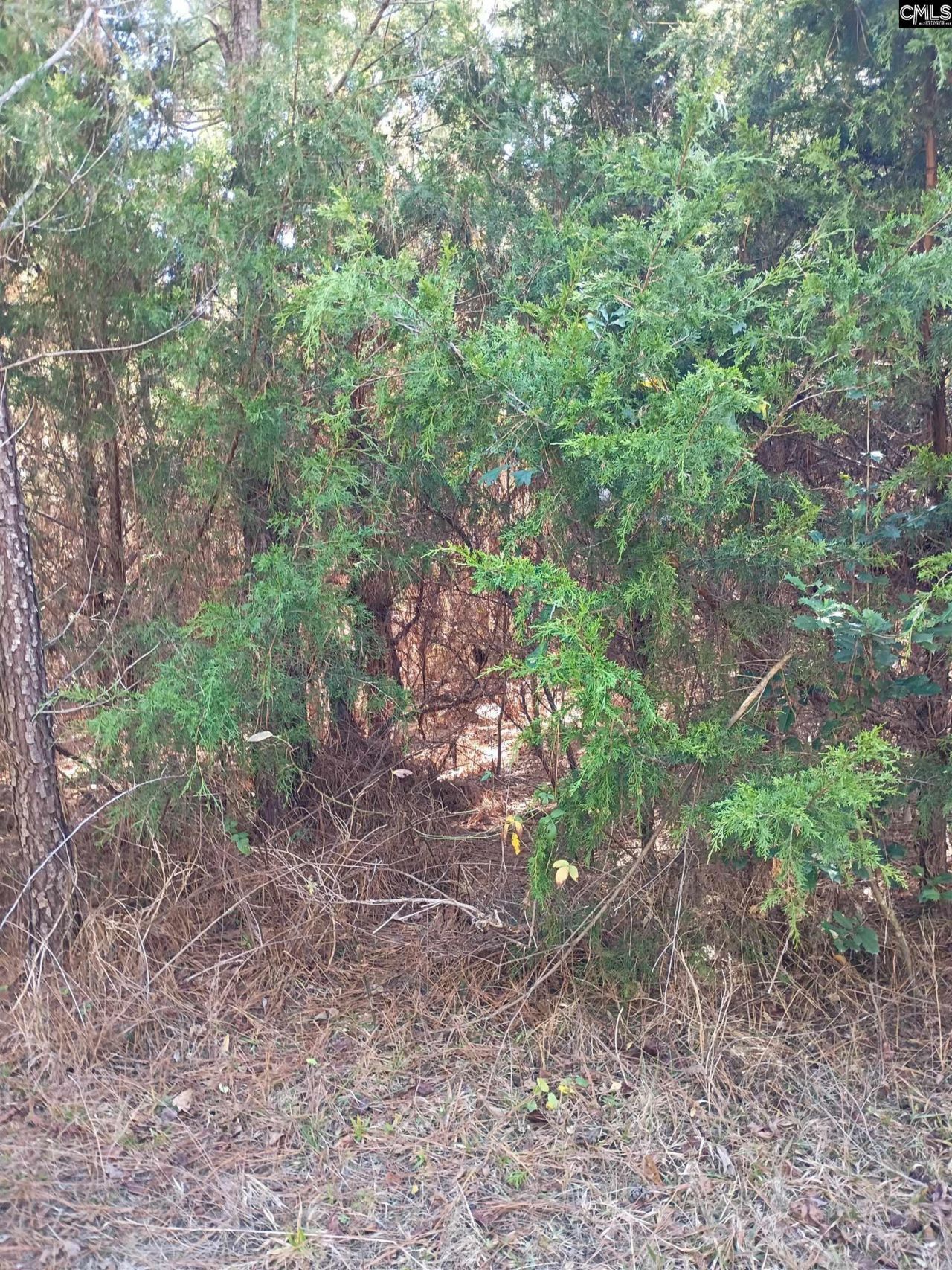 1163 Juneberry Road Photo 16