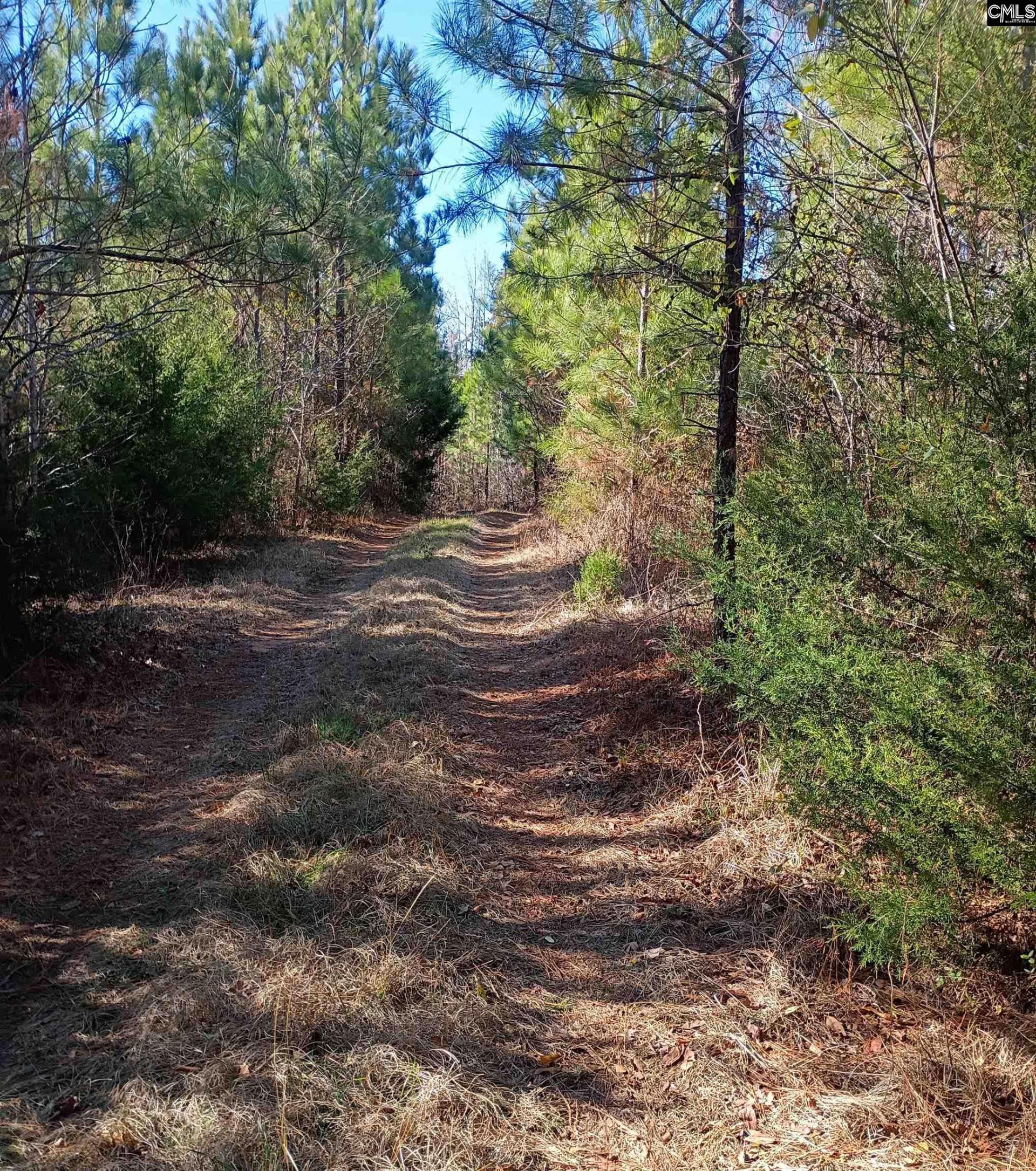 1163 Juneberry Road Photo 17