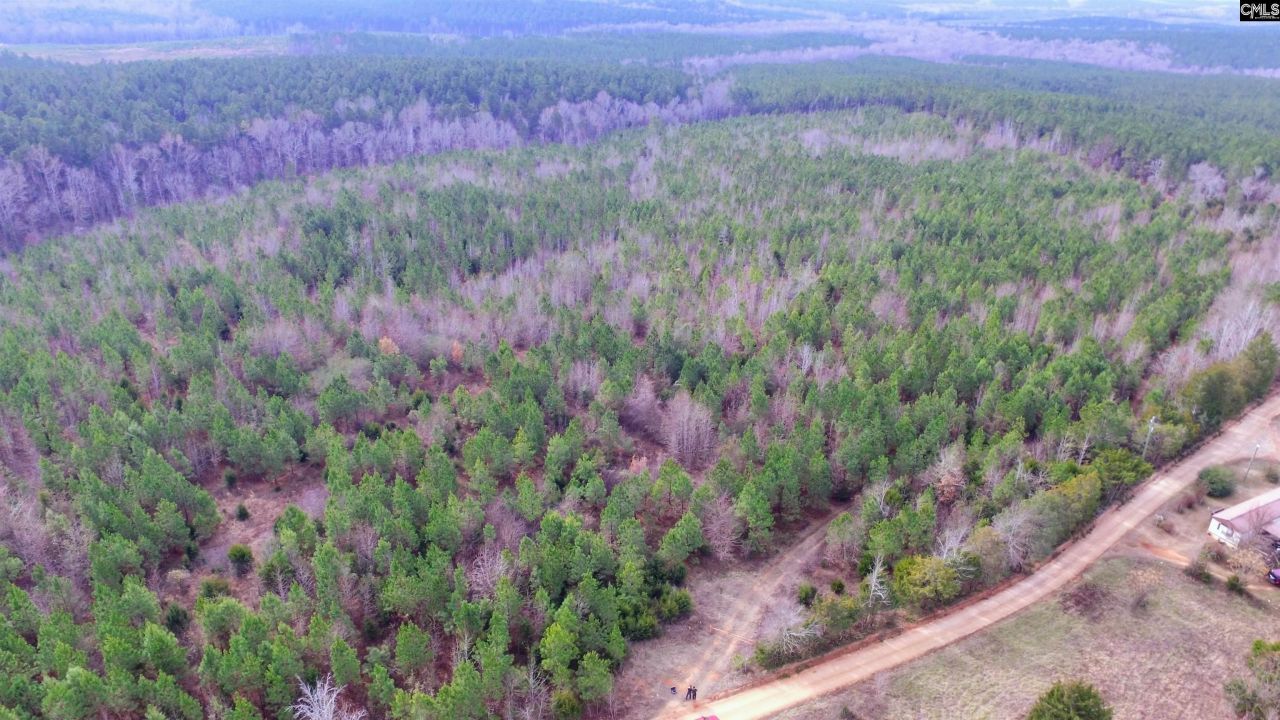 1163 Juneberry Rd Photo 18