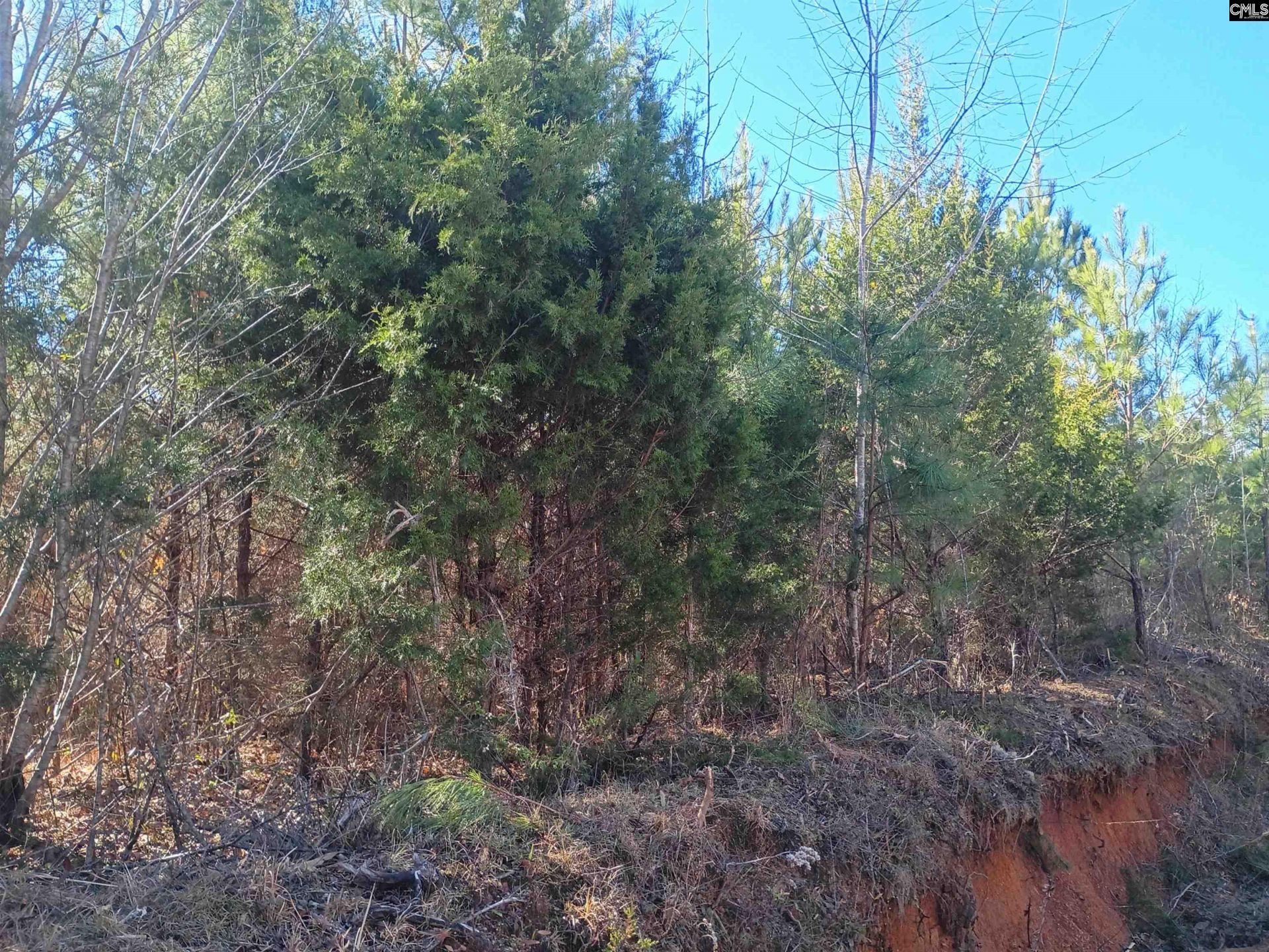 1163 Juneberry Road Photo 18