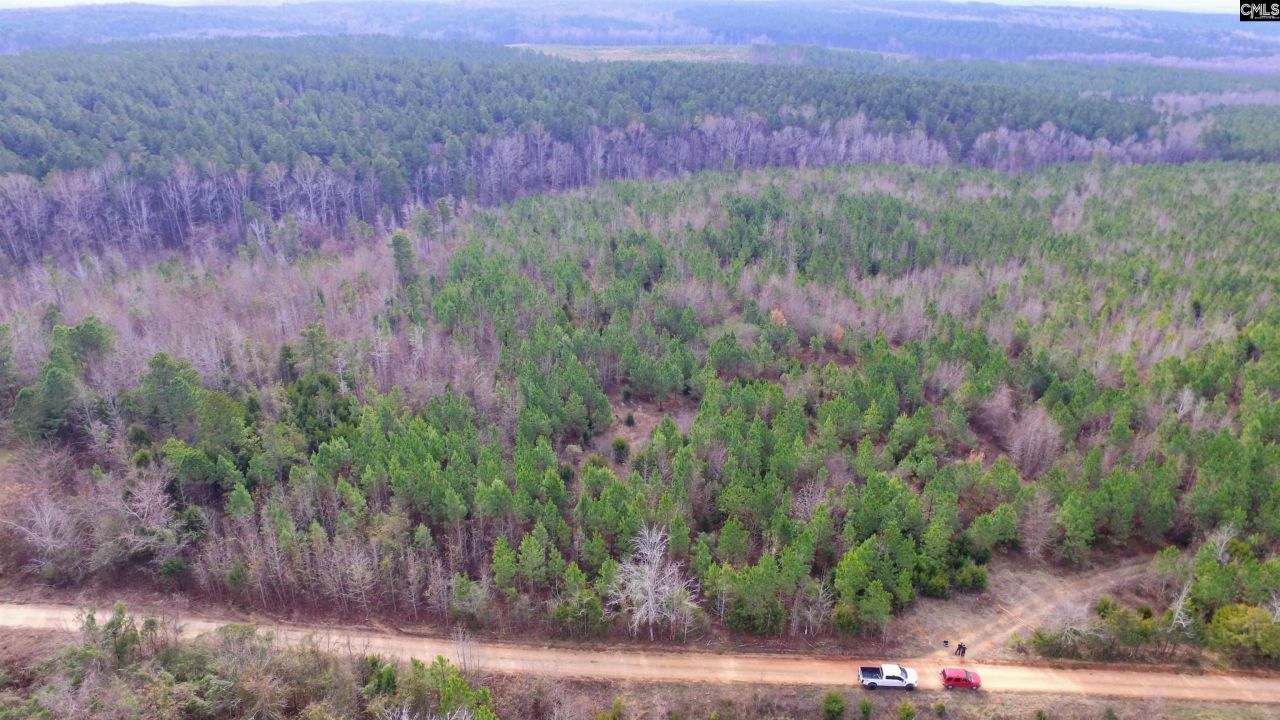 1163 Juneberry Rd Photo 19