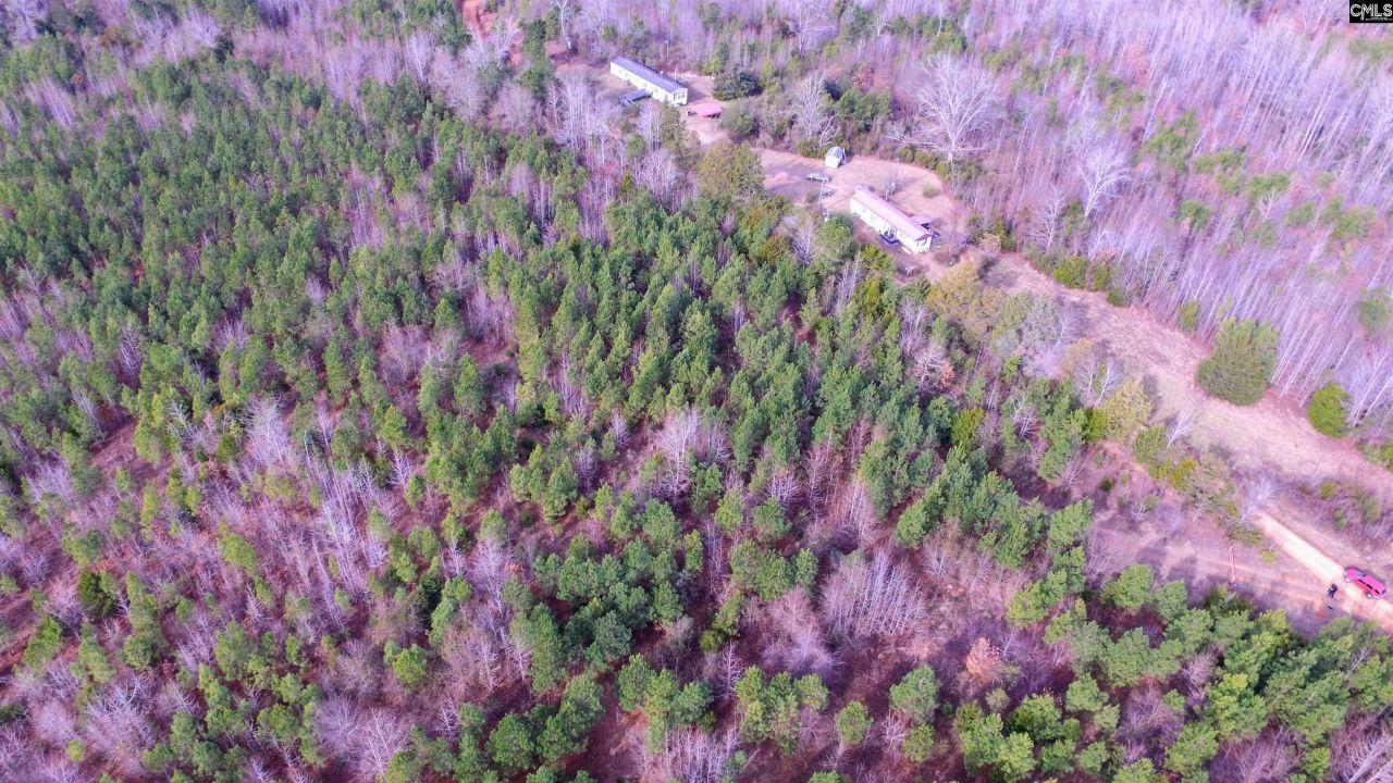 1163 Juneberry Rd Photo 20