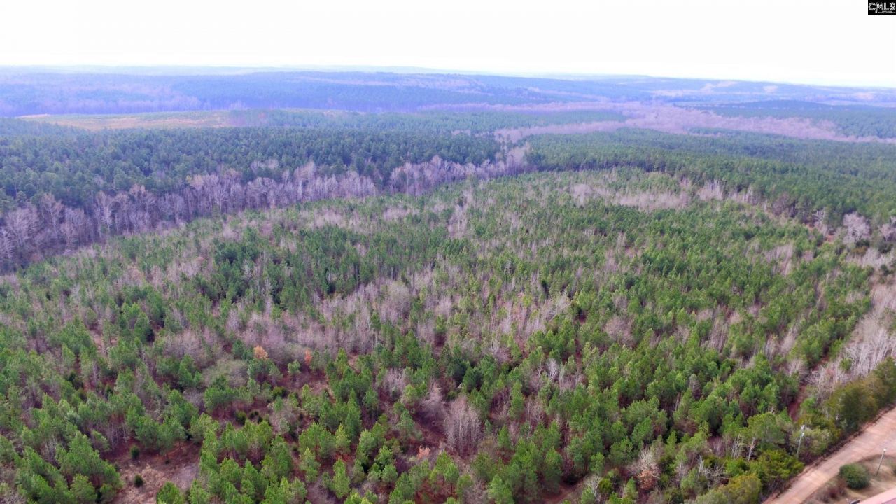 1163 Juneberry Rd Photo 21