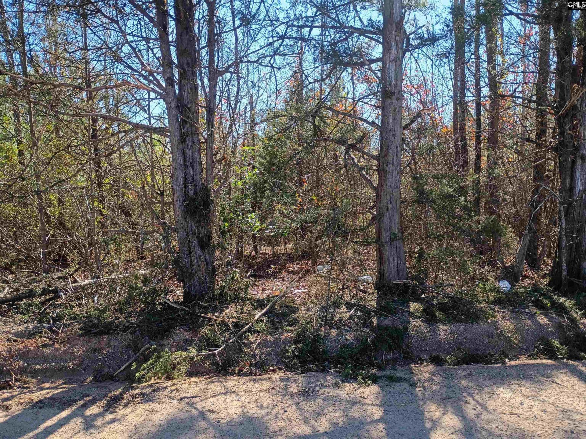 1163 Juneberry Road Photo 21