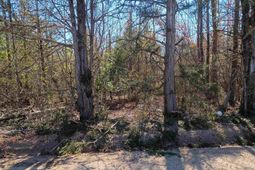 1163 Juneberry Rd photo 4