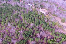 1163 Juneberry Road photo 4