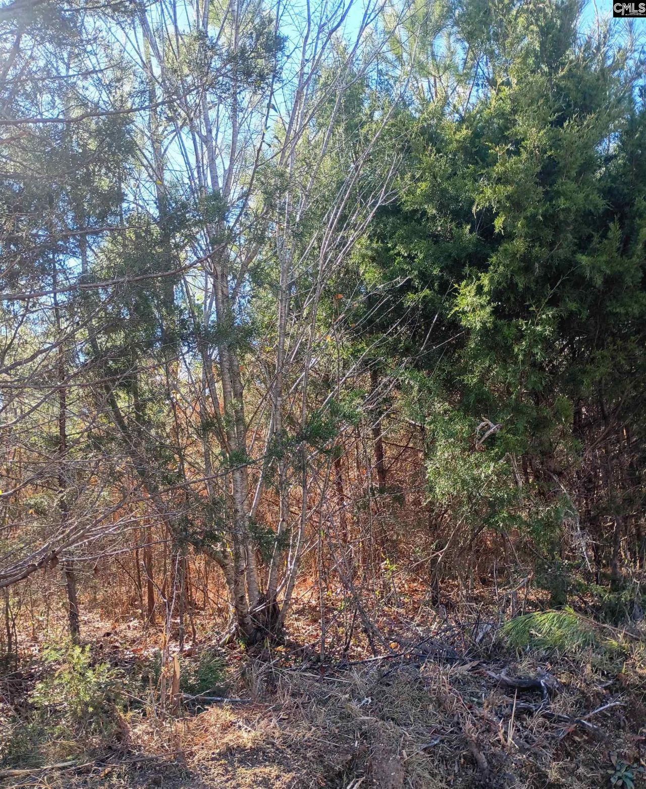 1163 Juneberry Rd Photo 4