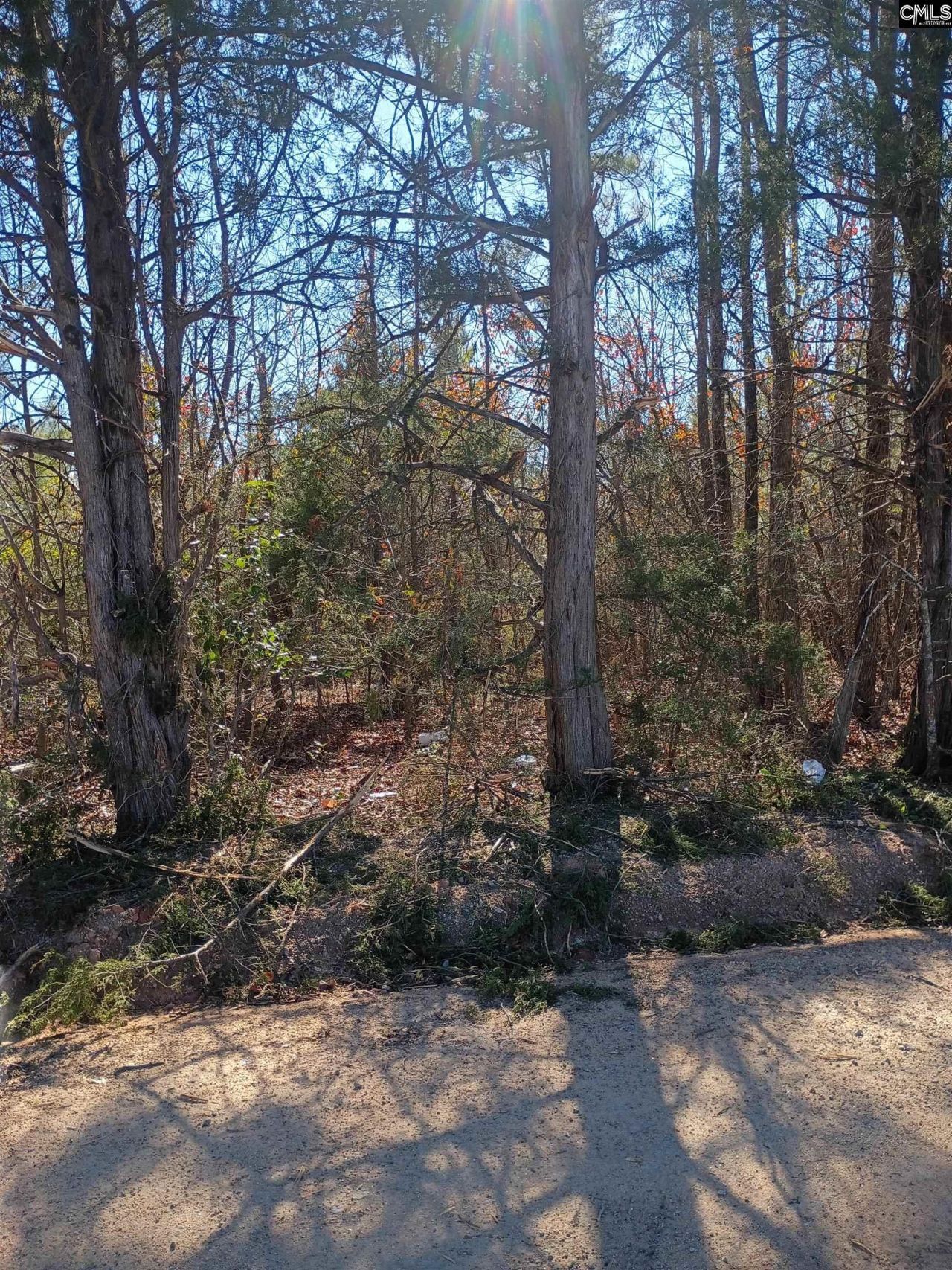 1163 Juneberry Rd Photo 5