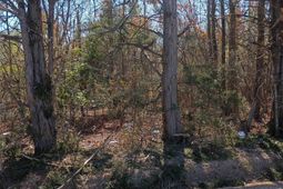 1163 Juneberry Rd photo 4