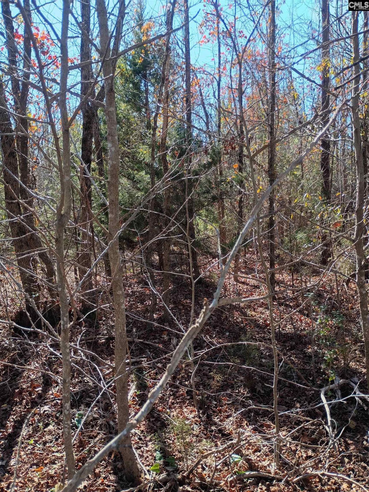 1163 Juneberry Road Photo 8