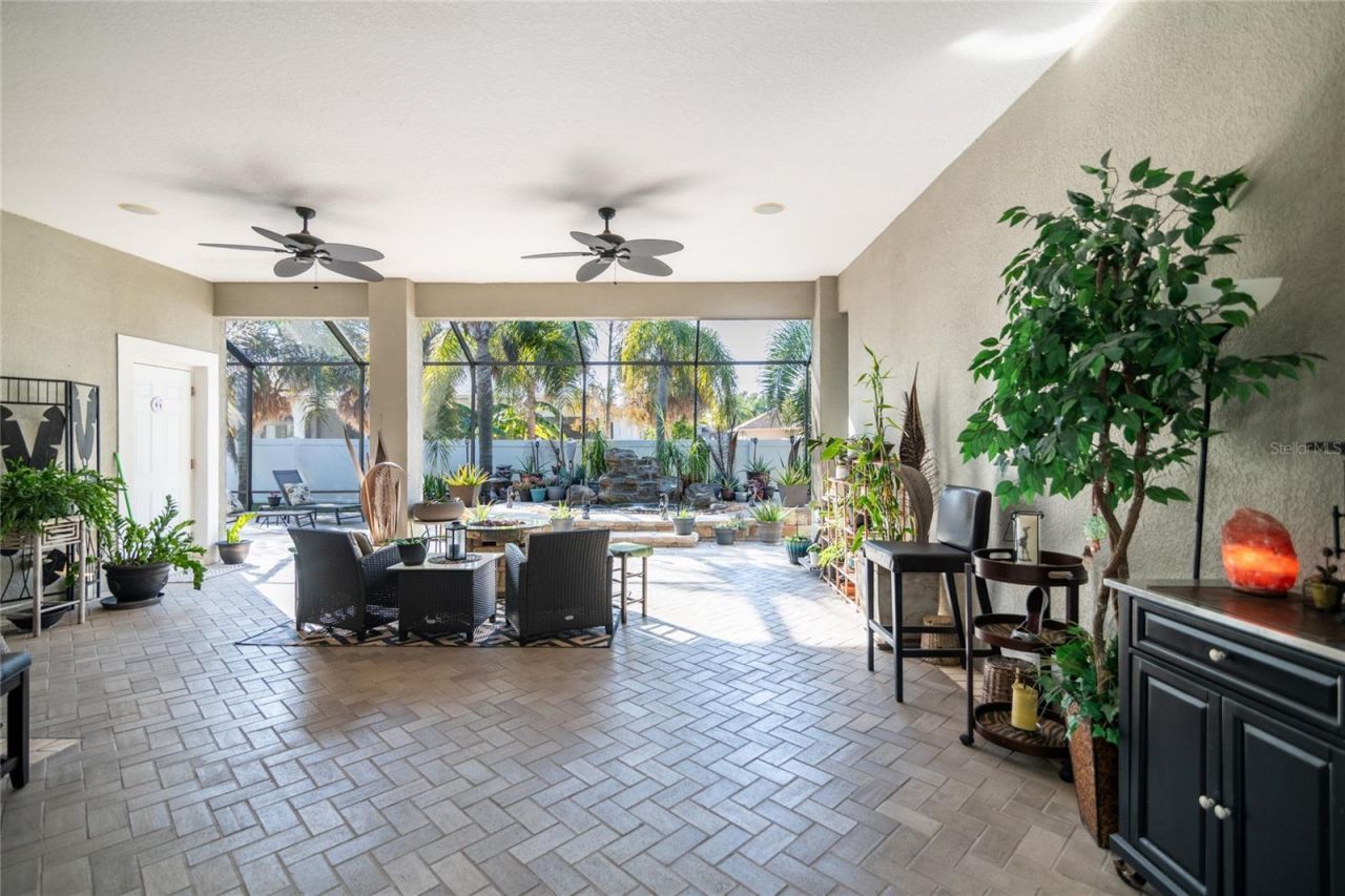 21812 N Carson Drive, Land O Lakes, FL 34639 Photo