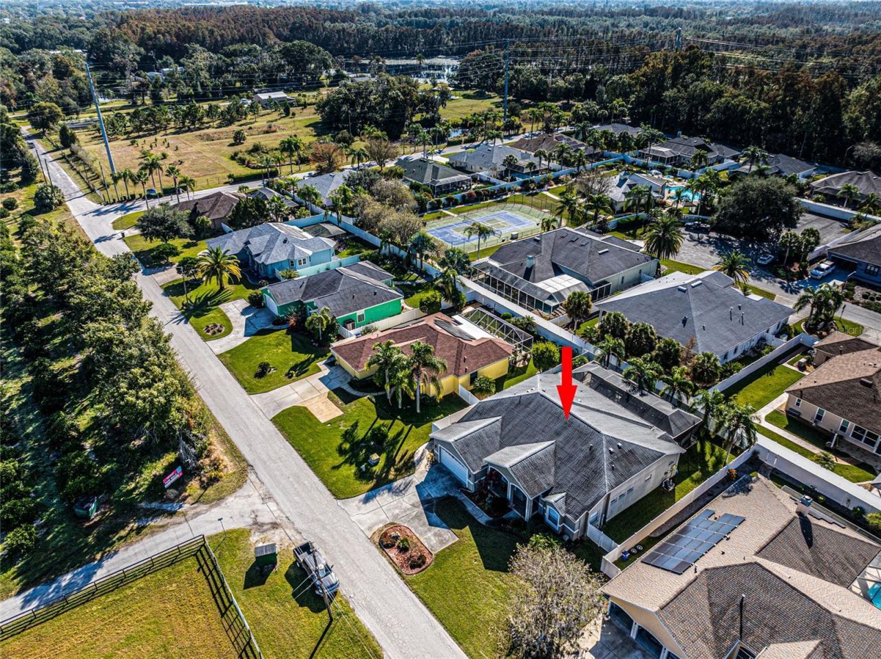 21812 N Carson Drive, Land O Lakes, FL 34639 Photo