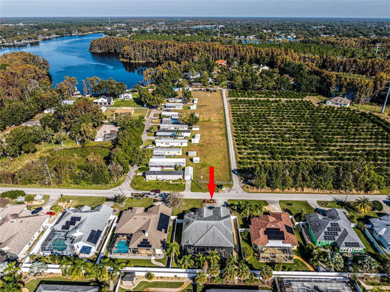 21812 N Carson Drive, Land O Lakes, FL 34639 Photo