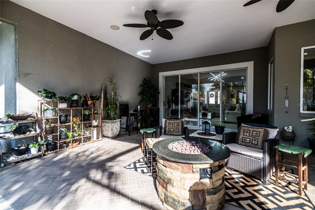 21812 N Carson Drive, Land O Lakes, FL 34639 Photo