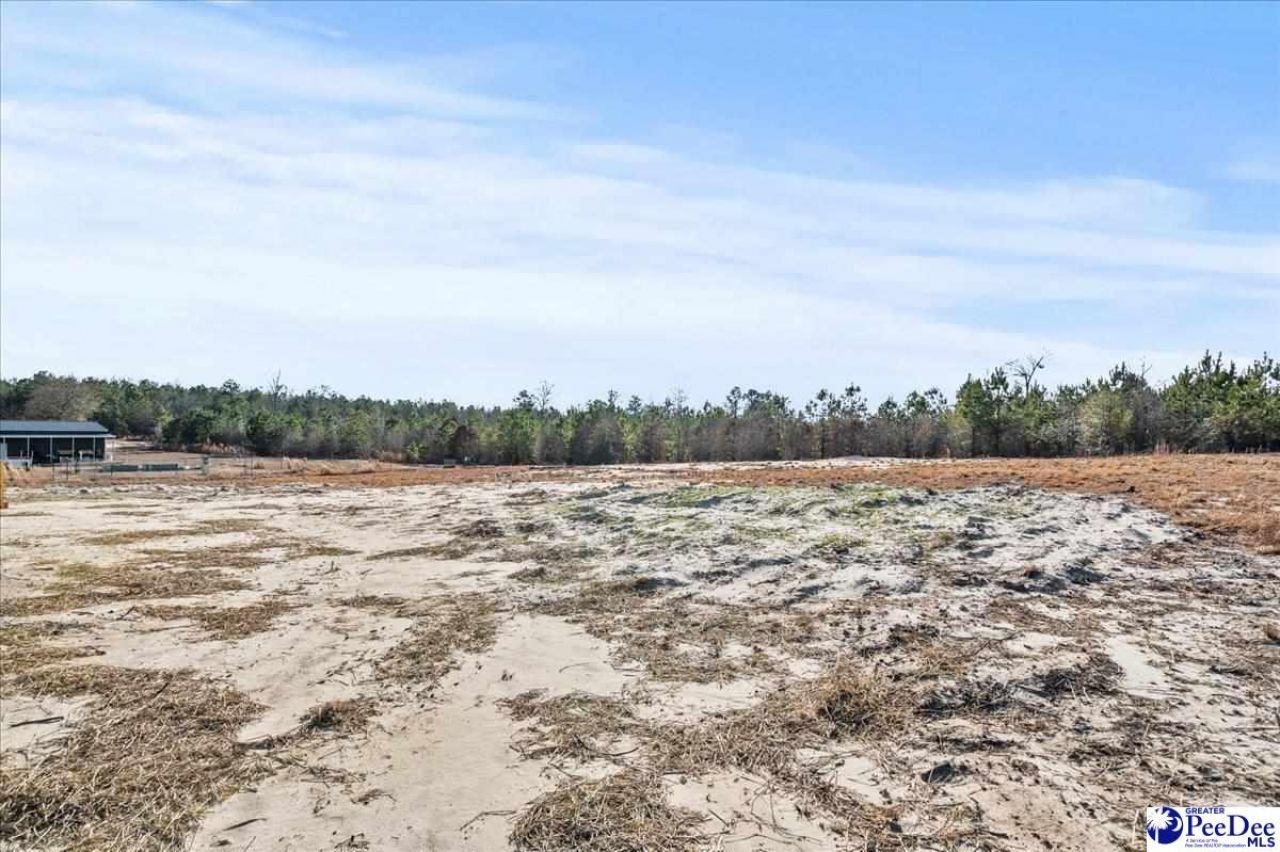 5257 Raleys Mill Road Photo 40